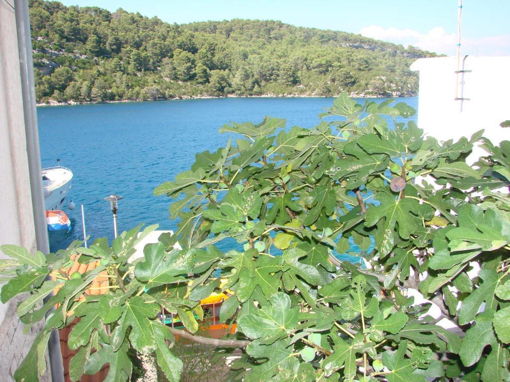 Sea House Mljet Hotel Polače Kamer foto